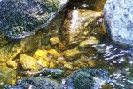 Bild15 (3)